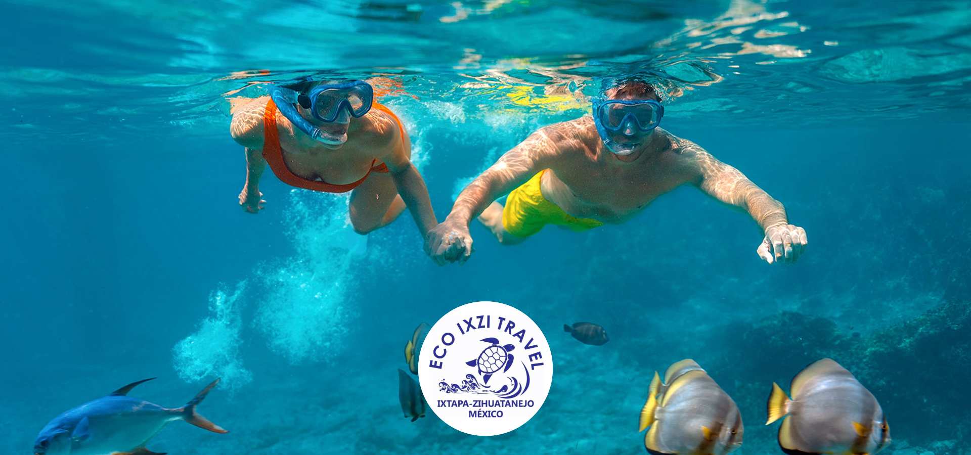 Tour Snorkel en Ixtapa Zihuatanejo. Snorkeling en Panga Privada en Ixtapa Zihuatanejo. Tours a la Isla de Ixtapa Zihuatanejo. Paseo a Playa Las Gatas en Ixtapa Zihuatanejo. Snorkel en el mar en Ixtapa Zihuatanejo