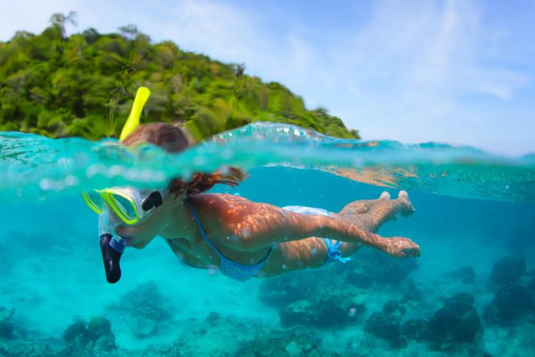 Excursión Snorkeling en Ixtapa Zihuatanejo. Tour de Snorkel en Ixtapa Zihuatanejo. Tour a la Isla de Ixtapa Zihuatanejo. Tour a Playa Las Gatas Zihuatanejo. Excursión a la Isla de Ixtapa Zihuatanejo. Excursión a Playa Las Gatas Ixtapa Zihuatanejo. Snorkeling para Niños en Ixtapa Zihuatanejo