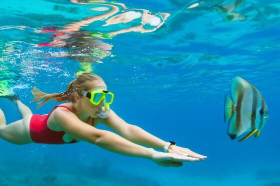 Excursión Snorkeling en Ixtapa Zihuatanejo. Tour de Snorkel en Ixtapa Zihuatanejo. Tour a la Isla de Ixtapa Zihuatanejo. Tour a Playa Las Gatas Zihuatanejo. Excursión a la Isla de Ixtapa Zihuatanejo. Excursión a Playa Las Gatas Ixtapa Zihuatanejo. Snorkeling para Niños en Ixtapa Zihuatanejo