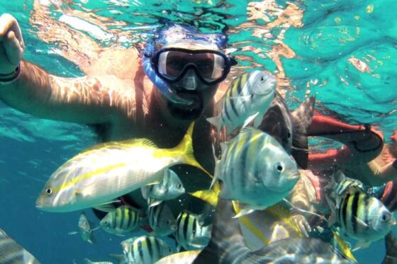 Excursión Snorkeling en Ixtapa Zihuatanejo. Tour de Snorkel en Ixtapa Zihuatanejo. Tour a la Isla de Ixtapa Zihuatanejo. Tour a Playa Las Gatas Zihuatanejo. Excursión a la Isla de Ixtapa Zihuatanejo. Excursión a Playa Las Gatas Ixtapa Zihuatanejo. Snorkeling para Niños en Ixtapa Zihuatanejo