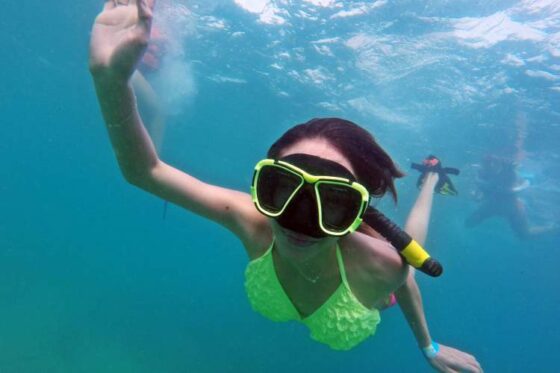 Excursión Snorkeling en Ixtapa Zihuatanejo. Tour de Snorkel en Ixtapa Zihuatanejo. Tour a la Isla de Ixtapa Zihuatanejo. Tour a Playa Las Gatas Zihuatanejo. Excursión a la Isla de Ixtapa Zihuatanejo. Excursión a Playa Las Gatas Ixtapa Zihuatanejo. Snorkeling para Niños en Ixtapa Zihuatanejo