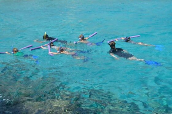 Excursión Snorkeling en Ixtapa Zihuatanejo. Tour de Snorkel en Ixtapa Zihuatanejo. Tour a la Isla de Ixtapa Zihuatanejo. Tour a Playa Las Gatas Zihuatanejo. Excursión a la Isla de Ixtapa Zihuatanejo. Excursión a Playa Las Gatas Ixtapa Zihuatanejo. Snorkeling para Niños en Ixtapa Zihuatanejo