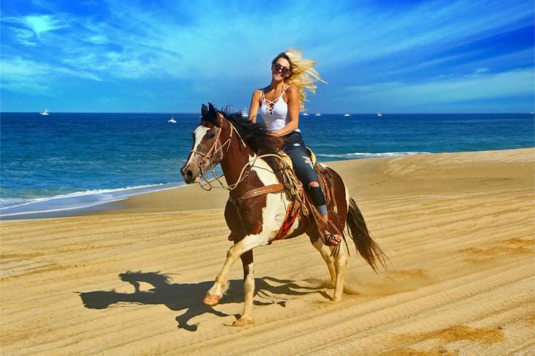 Paseo a Caballo en Ixtapa Zihuatanejo. Tour en Caballo en Ixtapa Zihuatanejo. Atardecer a Caballo en Ixtapa Zihuatanejo. Excursión a Caballo en Playa Larga en Ixtapa Zihuatanejo. Montar a Caballo en la Playa en Ixtapa Zihuatanejo. Recorrido en Caballo Playas de en Ixtapa Zihuatanejo