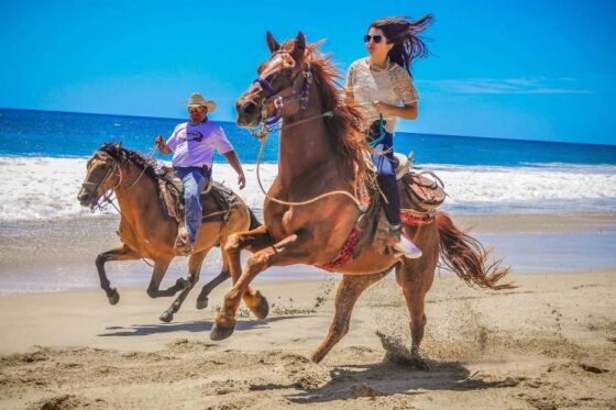 Paseo a Caballo en Ixtapa Zihuatanejo. Tour en Caballo en Ixtapa Zihuatanejo. Atardecer a Caballo en Ixtapa Zihuatanejo. Excursión a Caballo en Playa Larga en Ixtapa Zihuatanejo. Montar a Caballo en la Playa en Ixtapa Zihuatanejo. Recorrido en Caballo Playas de en Ixtapa Zihuatanejo