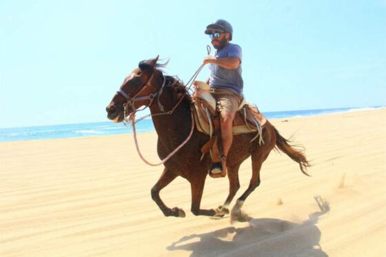 Paseo a Caballo en Ixtapa Zihuatanejo. Tour en Caballo en Ixtapa Zihuatanejo. Atardecer a Caballo en Ixtapa Zihuatanejo. Excursión a Caballo en Playa Larga en Ixtapa Zihuatanejo. Montar a Caballo en la Playa en Ixtapa Zihuatanejo. Recorrido en Caballo Playas de en Ixtapa Zihuatanejo