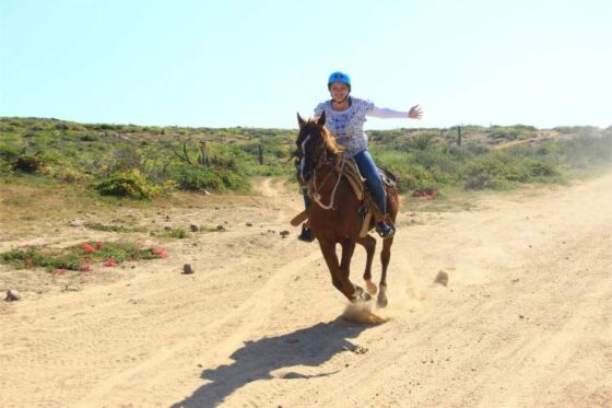 Paseo a Caballo en Ixtapa Zihuatanejo. Tour en Caballo en Ixtapa Zihuatanejo. Atardecer a Caballo en Ixtapa Zihuatanejo. Excursión a Caballo en Playa Larga en Ixtapa Zihuatanejo. Montar a Caballo en la Playa en Ixtapa Zihuatanejo. Recorrido en Caballo Playas de en Ixtapa Zihuatanejo