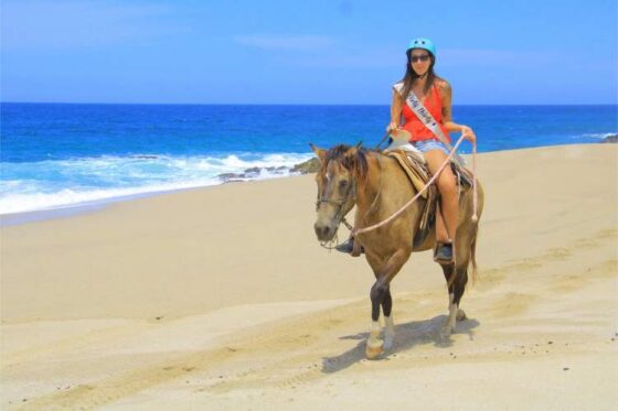 Paseo a Caballo en Ixtapa Zihuatanejo. Tour en Caballo en Ixtapa Zihuatanejo. Atardecer a Caballo en Ixtapa Zihuatanejo. Excursión a Caballo en Playa Larga en Ixtapa Zihuatanejo. Montar a Caballo en la Playa en Ixtapa Zihuatanejo. Recorrido en Caballo Playas de en Ixtapa Zihuatanejo