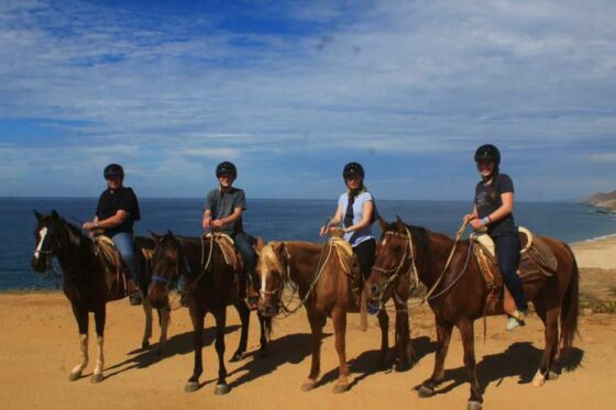 Paseo a Caballo en Ixtapa Zihuatanejo. Tour en Caballo en Ixtapa Zihuatanejo. Atardecer a Caballo en Ixtapa Zihuatanejo. Excursión a Caballo en Playa Larga en Ixtapa Zihuatanejo. Montar a Caballo en la Playa en Ixtapa Zihuatanejo. Recorrido en Caballo Playas de en Ixtapa Zihuatanejo