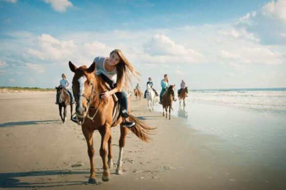 Paseo a Caballo en Ixtapa Zihuatanejo. Tour en Caballo en Ixtapa Zihuatanejo. Atardecer a Caballo en Ixtapa Zihuatanejo. Excursión a Caballo en Playa Larga en Ixtapa Zihuatanejo. Montar a Caballo en la Playa en Ixtapa Zihuatanejo. Recorrido en Caballo Playas de en Ixtapa Zihuatanejo