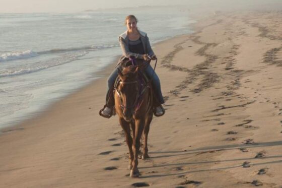 Paseo a Caballo en Ixtapa Zihuatanejo. Tour en Caballo en Ixtapa Zihuatanejo. Atardecer a Caballo en Ixtapa Zihuatanejo. Excursión a Caballo en Playa Larga en Ixtapa Zihuatanejo. Montar a Caballo en la Playa en Ixtapa Zihuatanejo. Recorrido en Caballo Playas de en Ixtapa Zihuatanejo