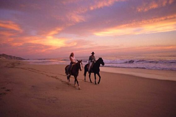 Paseo a Caballo en Ixtapa Zihuatanejo. Tour en Caballo en Ixtapa Zihuatanejo. Atardecer a Caballo en Ixtapa Zihuatanejo. Excursión a Caballo en Playa Larga en Ixtapa Zihuatanejo. Montar a Caballo en la Playa en Ixtapa Zihuatanejo. Recorrido en Caballo Playas de en Ixtapa Zihuatanejo