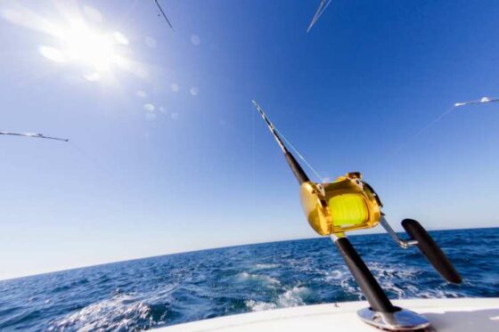 Pesca Profunda en Ixtapa Zihuatanejo. Tour de Pesca en Ixtapa Zihuatanejo. Pez Marlin en Ixtapa Zihuatanejo. Pez Vela en Ixtapa Zihuatanejo. Pez Dorado en Ixtapa Zihuatanejo. Pesca de Atún en Ixtapa Zihuatanejo. Aventura de Pesca Familiar en Ixtapa Zihuatanejo. Excursión de Pesca en Ixtapa Zihuatanejo