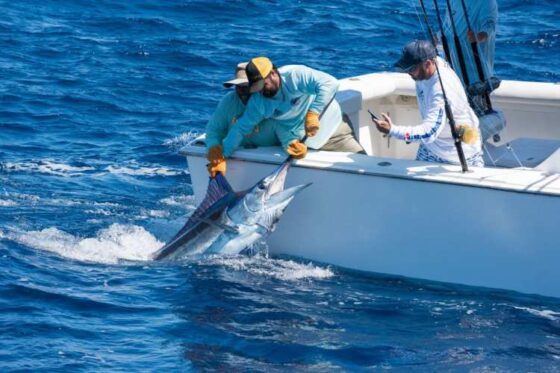 Pesca Profunda en Ixtapa Zihuatanejo. Tour de Pesca en Ixtapa Zihuatanejo. Pez Marlin en Ixtapa Zihuatanejo. Pez Vela en Ixtapa Zihuatanejo. Pez Dorado en Ixtapa Zihuatanejo. Pesca de Atún en Ixtapa Zihuatanejo. Aventura de Pesca Familiar en Ixtapa Zihuatanejo. Excursión de Pesca en Ixtapa Zihuatanejo