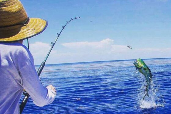 Pesca Profunda en Ixtapa Zihuatanejo. Tour de Pesca en Ixtapa Zihuatanejo. Pez Marlin en Ixtapa Zihuatanejo. Pez Vela en Ixtapa Zihuatanejo. Pez Dorado en Ixtapa Zihuatanejo. Pesca de Atún en Ixtapa Zihuatanejo. Aventura de Pesca Familiar en Ixtapa Zihuatanejo. Excursión de Pesca en Ixtapa Zihuatanejo